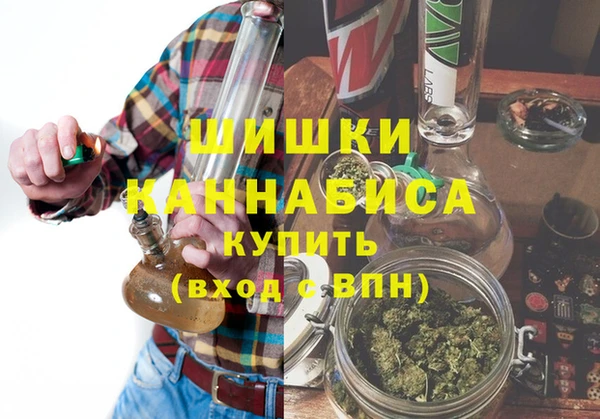 шишки Алзамай