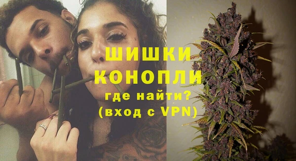 шишки Алзамай