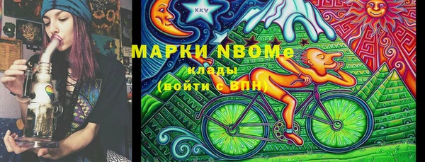 шишки Алзамай