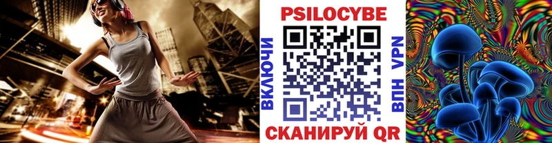 Галлюциногенные грибы Psilocybe  Юрьев-Польский 